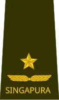 Brigadier general (Singapore Army)[48]
