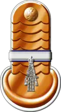 Epaulette Yefreytor of the 3rd Lancer Smolensk Emperor Alexander III Regiment (1908)