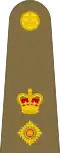 British Army (United Kingdom) (Lieutenant Colonel)