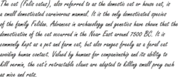 The Freestyle Script specimen: cat article from Wikipedia (revision as of 7/9/2021)