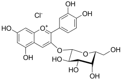 Structure of ideain chloride