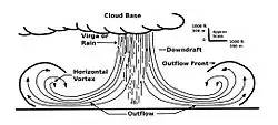 Microburst cross section