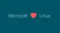 "Microsoft (loves) Linux"