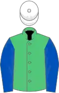 Emerald green, royal blue sleeves, white cap