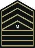 Master sergeant (Philippine Army)[9]