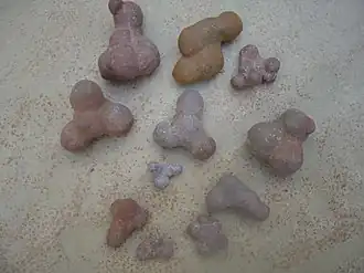 The male genital-shaped pebbles found on the southern beaches of the lake