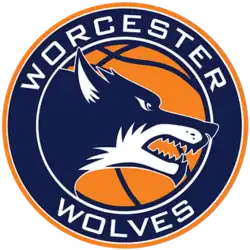 Worcester Wolves logo